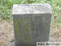 Thomas A Mccloskey