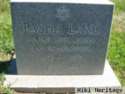 Pasha Land