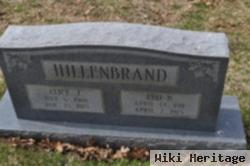 Alice J Hillenbrand