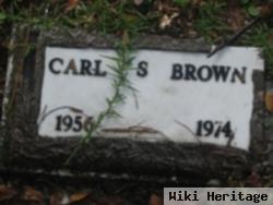 Carl S Brown