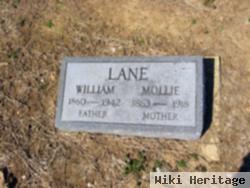 Mollie Lane