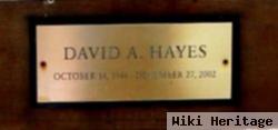 David A Hayes