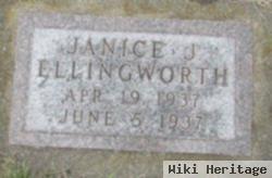 Janice Joyce Ellingworth