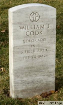 William J Cook