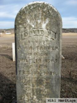 David Nathaniel Fawver