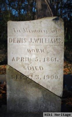 Denis J Williams