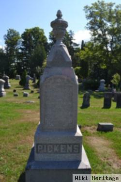 Sarah Ann Packer Pickens