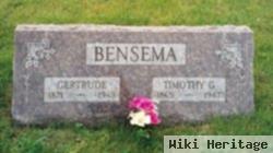 Timothy G. Bensema