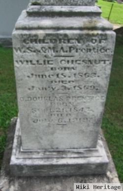 Willie Chesnut Prentice