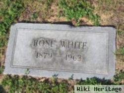 Rose White