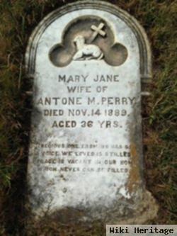 Mary Jane Carr Perry