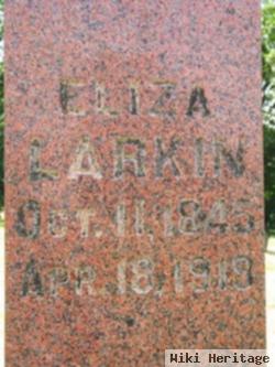 Eliza Ann Jarman Larkin