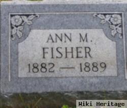 Ann M. Fisher