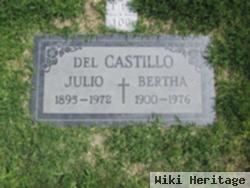 Bertha Del Castillo