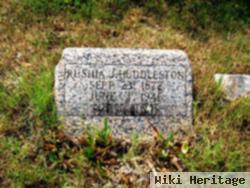 Jerusha Joanna "rusha" Norvell Huddleston