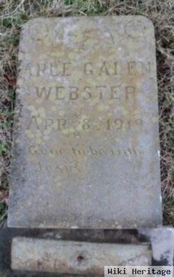 Arle Galen Webster