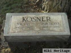 Vaclav Kosner