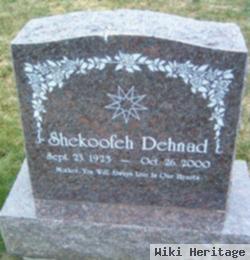 Shekoofeh Dehnad