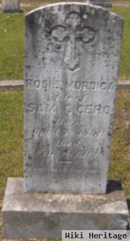 Rosie Mordica Cicero