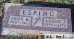 Agnes J. Youngberg Esping