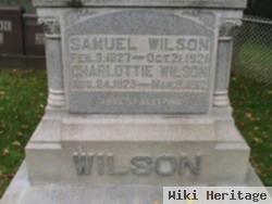 Samuel F. Wilson