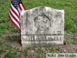 Wallace Anthony