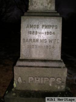 Amos Phipps