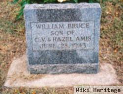 William Bruce Amis