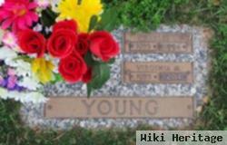 Virginia M Hillmer Young