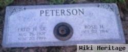 Rose H Peterson