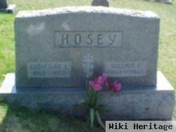 William P. Hosey