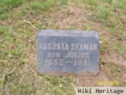 Augusta Erdman Seaman