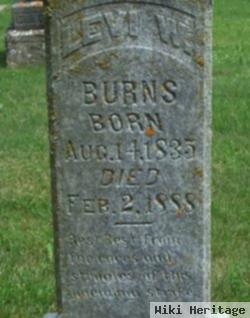 Levi Walter Burns