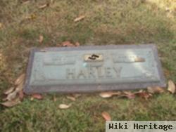 Dave Haskel Harley