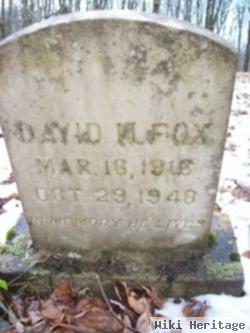 David M Fox