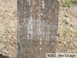 Mary Ann Harden Hinton