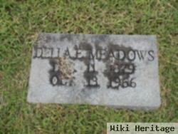 Delaware Mildred "della" Eanes Meadows