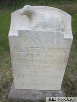 Nester Winn Brady