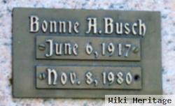 Bonnie A Busch