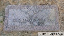 John Martin Wilcox