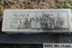 Dora Freida Zieg