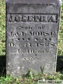 Joseph A Morse