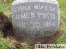 Lydia Catherine Cozad Potts