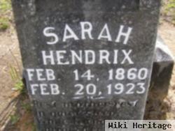 Sarah Ann Cobb Hendrix