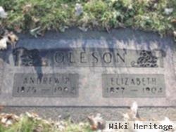 Elizabeth Oleson