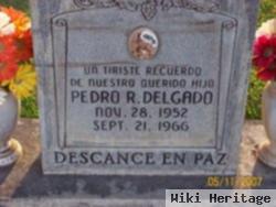 Pedro R Delgado