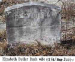 Caroline Elizabeth Butler Bush