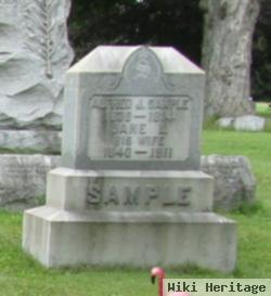 Jane L. Rogers Sample