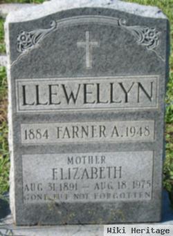 Elizabeth Llewellyn