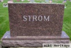 Steven J Strom